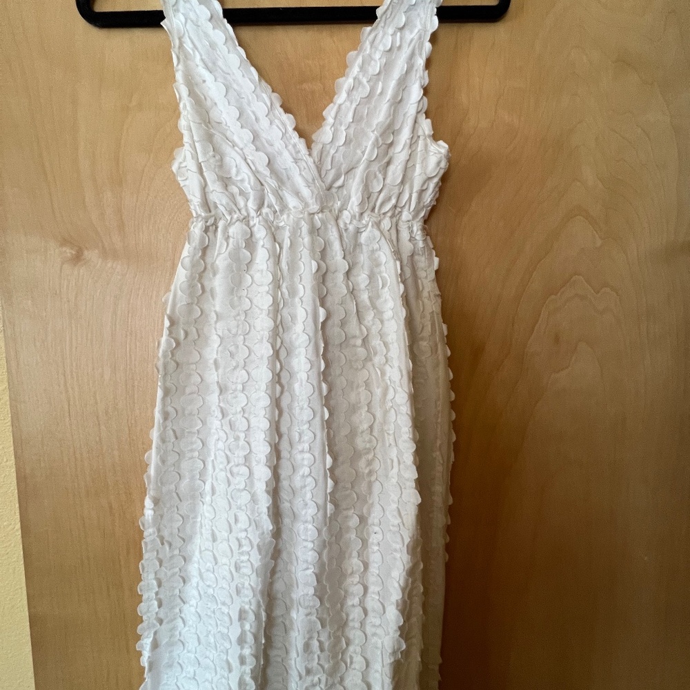 Max Studio Dress